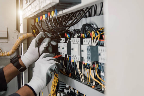 Best Local Electrician Companies  in Cedar Grove, FL